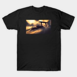 Surveyor T-Shirt